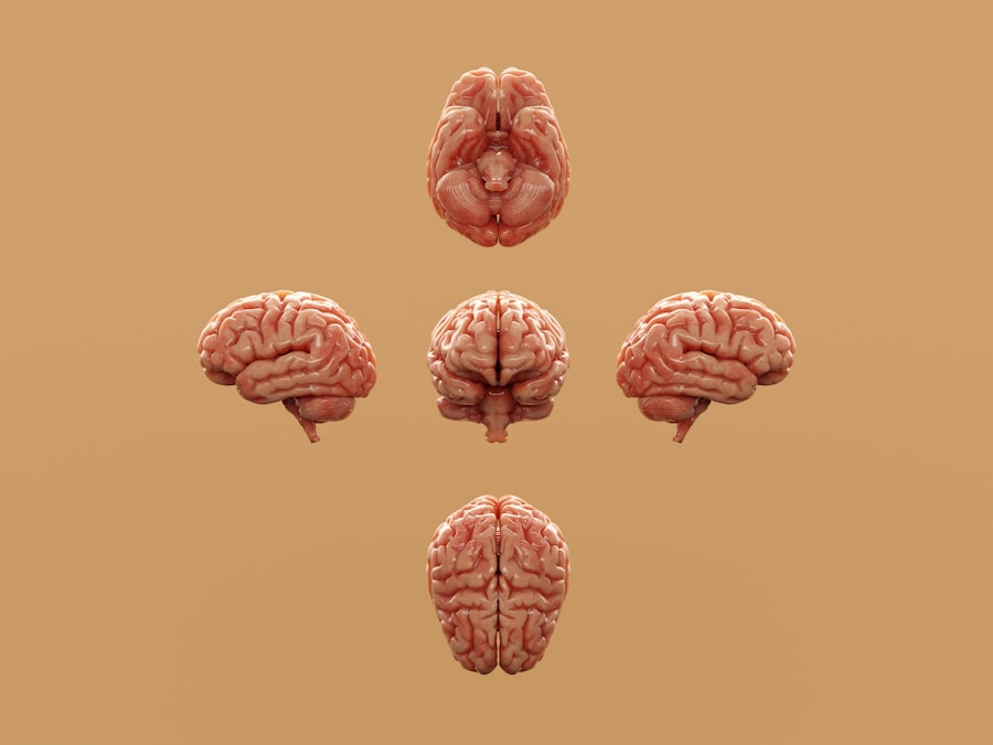 Nuove Sfide per il Cervello